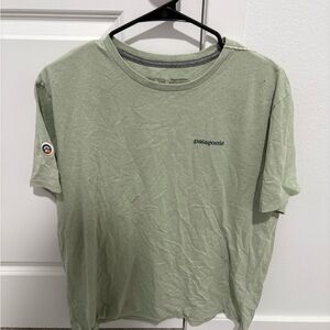 Patagonia Sage Green Men's Short Sleeve Tee